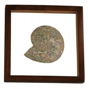 Mosaic Snail Shell Wall Décor