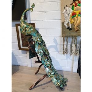Standing Blue & Golden Peacock