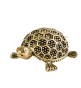 Brass Tortoise