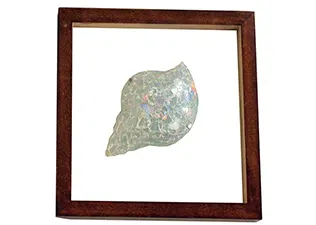 Mosaic Conch Shell Wall Decor