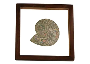 Mosaic Snail Shell Wall Decor